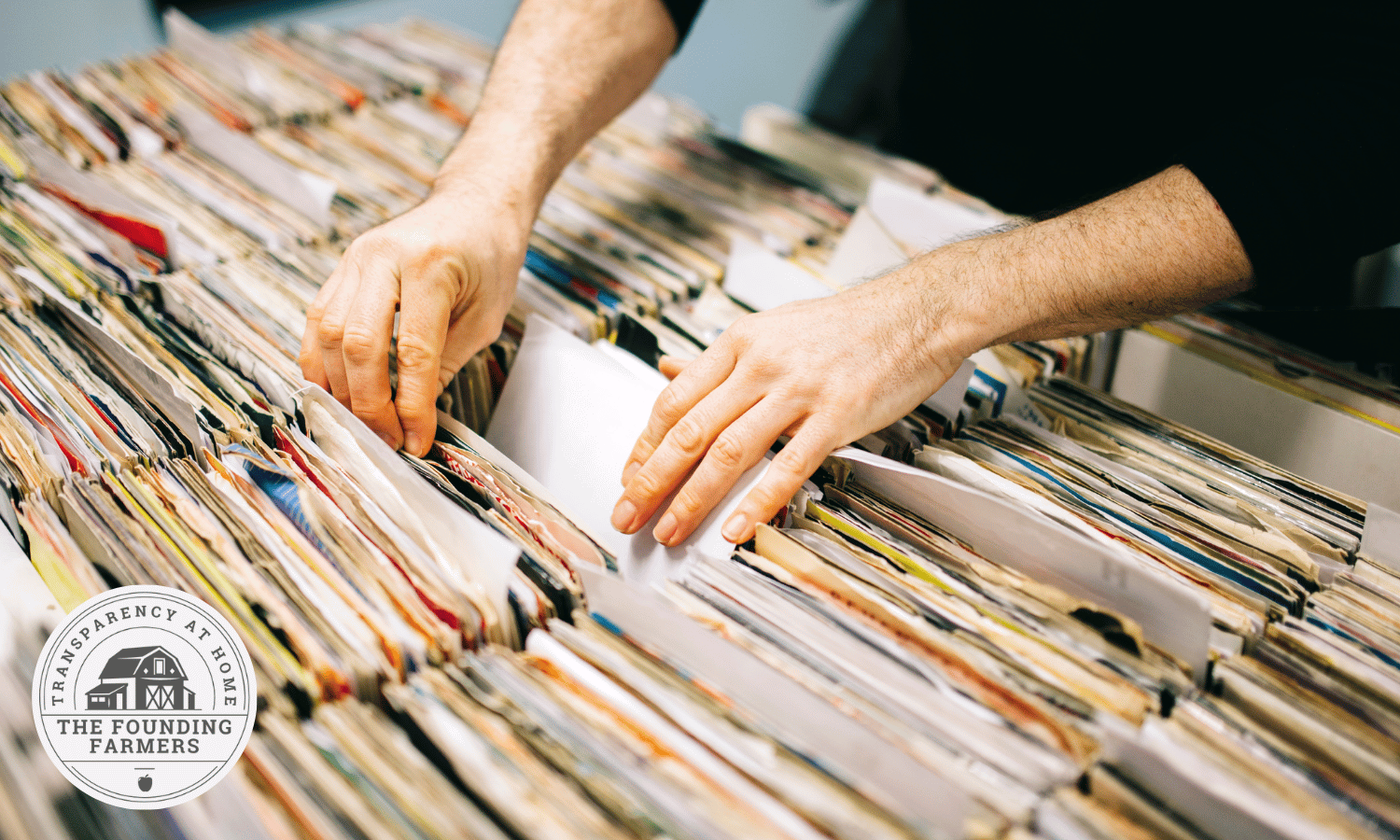 Do Your Research: How to File a FOIL Request in New York